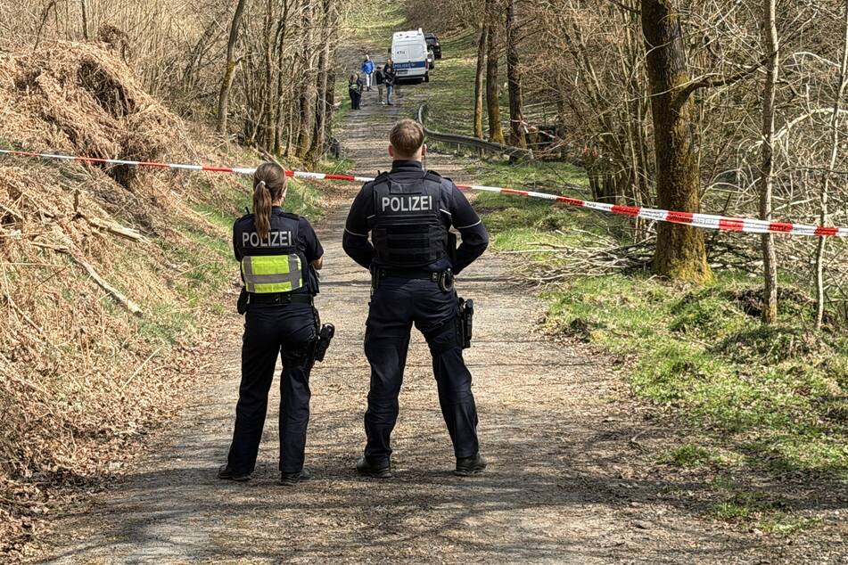 Bei einer Müllsammelaktion in einem Wald bei Wenden wurde im April ein menschlicher Schädel entdeckt. Inzwischen ist klar, dass er zu der getöteten 32-Jährigen aus Bonn gehört. (Archivbild)