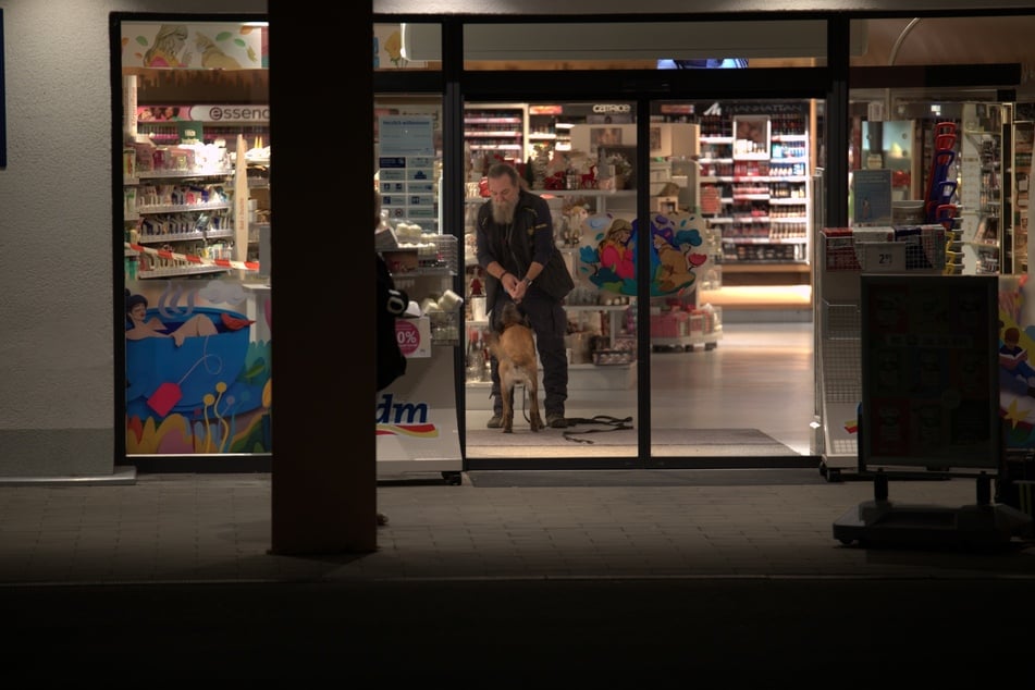 Ein Diensthund der Polizei sucht im Geschäft nach einer Spur.