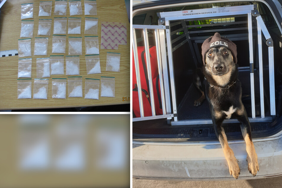 Supernase! Zollhund "Dasty" ertappt Crystal-Schmugglerin (25) im Zug