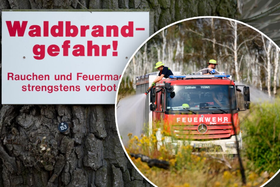 Hohe Waldbrandgefahr im Vogtland: Darum sollten jetzt auch Autofahrer vorsichtig sein