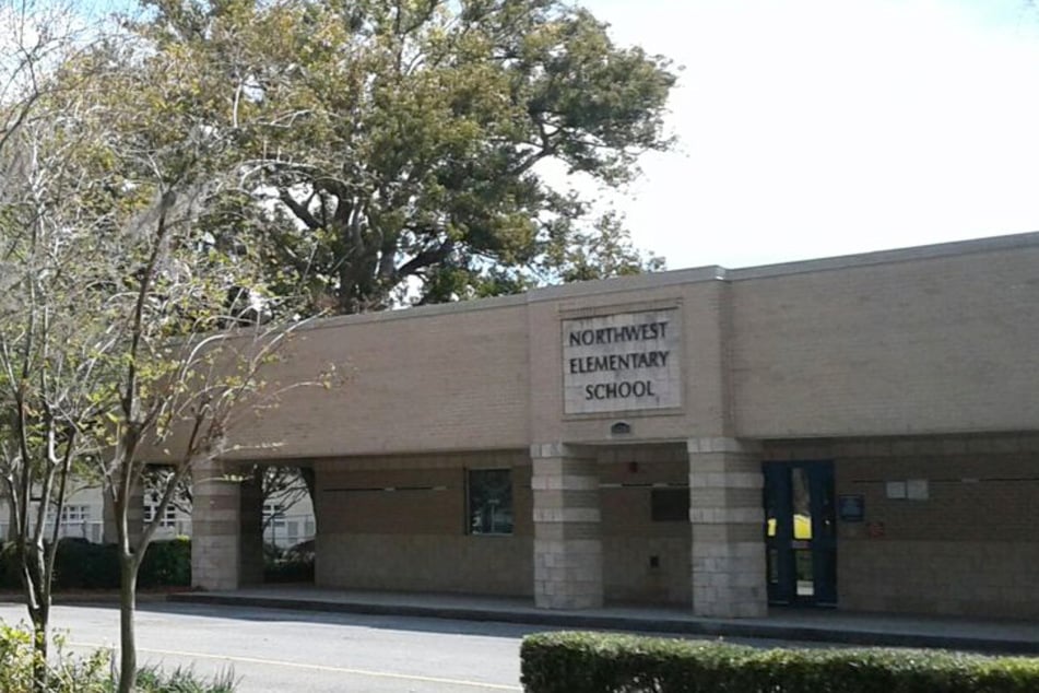 In der Northwest Elementary School in Tampa (Florida) gehören Fledermäuse aktuell zum Schulalltag.