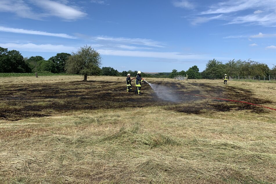 Das Feuer hatte sich auf einer Fläche von 5000 Quadratmetern ausgebreitet.