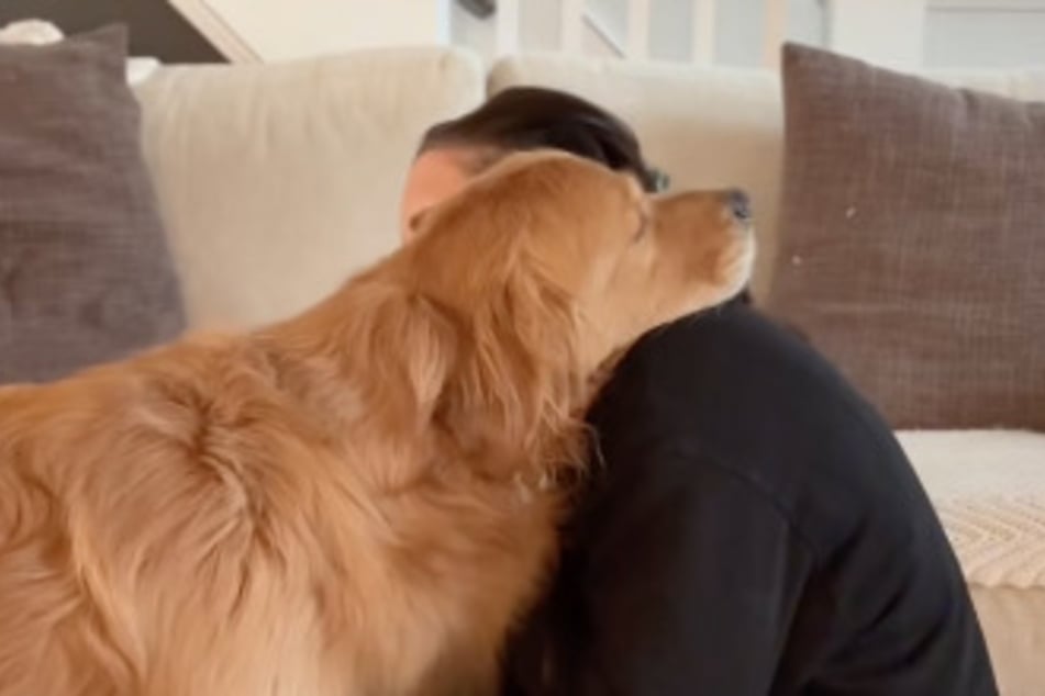 Der Golden Retriever reagierte sofort auf sein trauriges Frauchen.