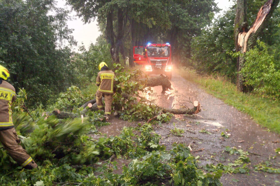 Die Freiwillige Feuerwehr aus Reszel musste umgestürzte Bäume entfernen, kämpfte mit Überschwemmungen in Häusern und auf Straßen.