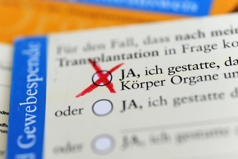 Mit einem Organspendeausweis kann man schnell und einfach erklären, dass nach dem Tod Organe aus dem Körper entfernt werden dürfen. (Symbolfoto)