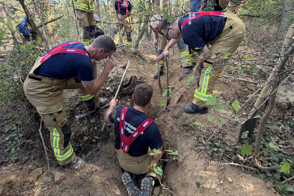 Die Feuerwehrmänner mussten den Hund frei schaufeln.