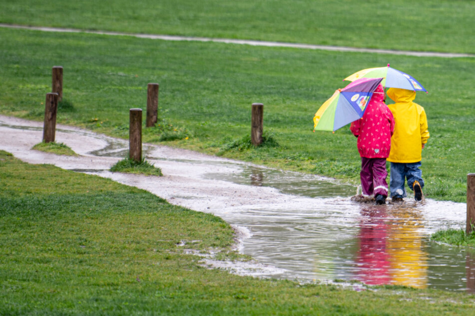 Spaziergänger werden wohl trockene Phasen abwarten müssen, um dem Regen und vereinzelten Gewittern zu entkommen.