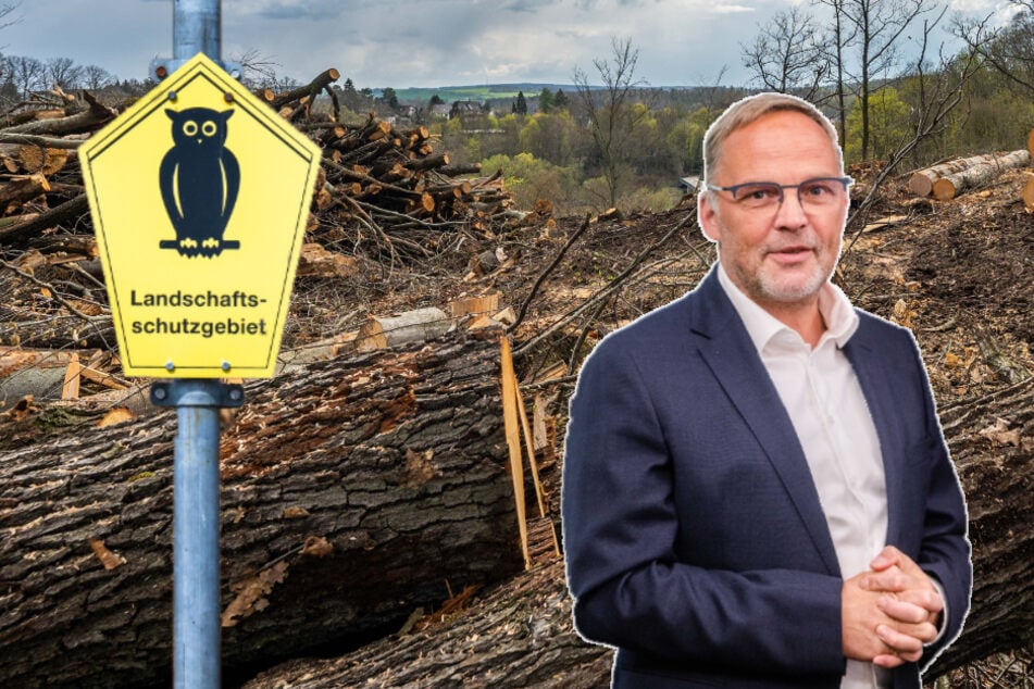 Nach Rodungen in Mittelsachsen: Umweltschützer verklagen Landrat Neubauer