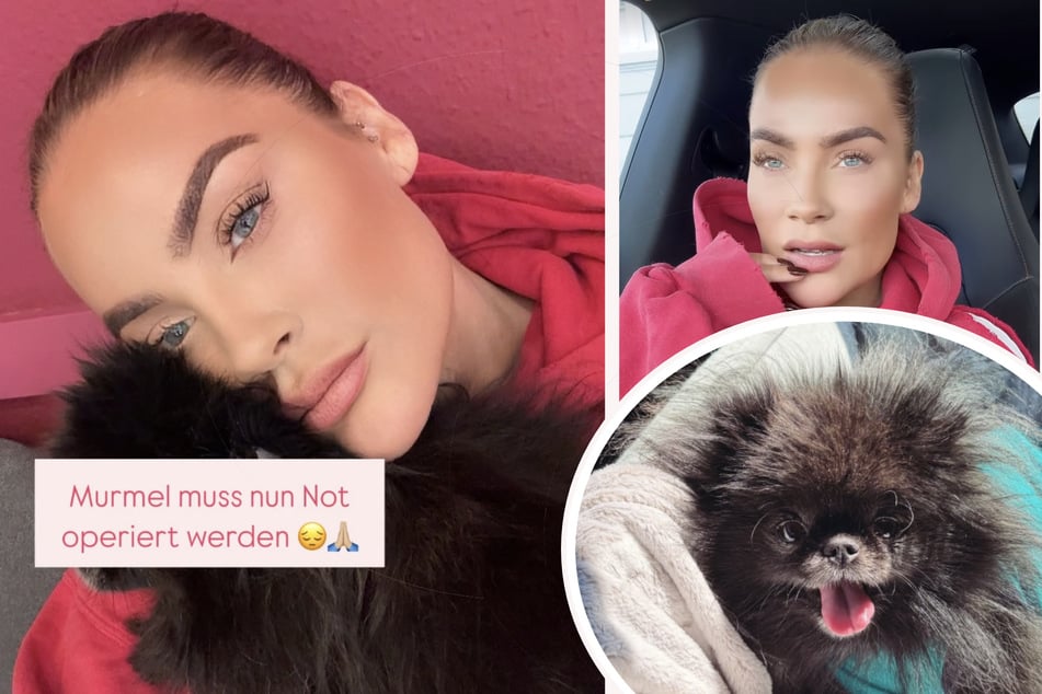 Janine Pinks (38) Hund musste operiert werden.