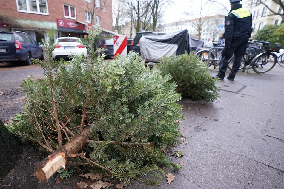 Weihnachtsbäume liegen zur Abholung an einer Straßenecke im Stadtteil Eimsbüttel bereit.