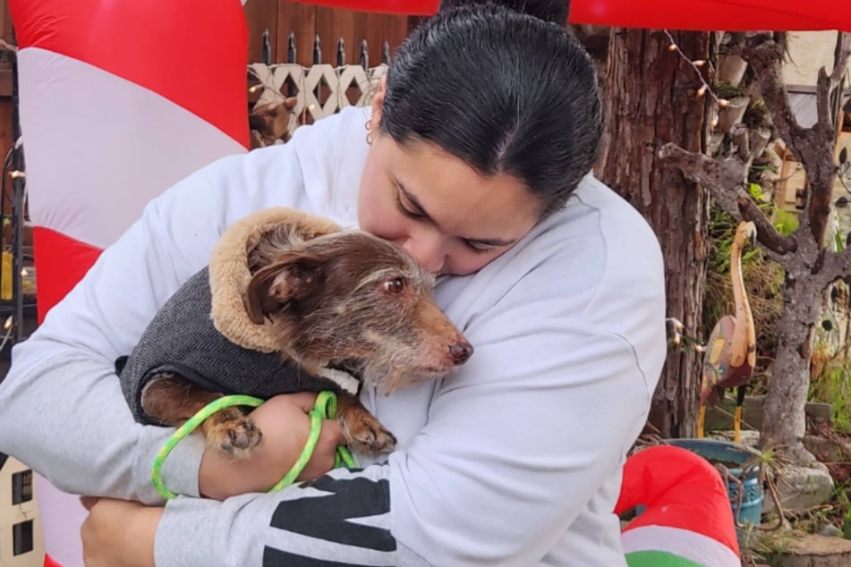 Mehr als vier Jahre ist es her, dass Patricia ihren kleinen Choco das letzte Mal in ihren Armen halten konnte. Doch die süße Fellnase bewies: Wunder gibt es immer wieder.