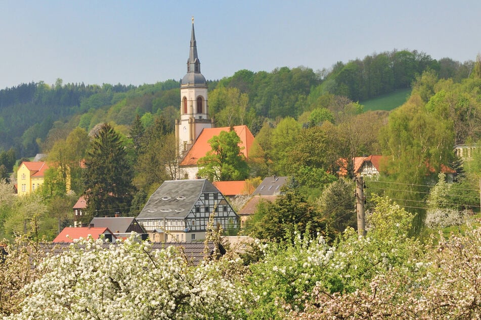 Das Frühlingswetter in Sachsen war die letzten Tage fast traumhaft. Da kann auch ein Ministerpräsident mal ganz entspannt draußen arbeiten.