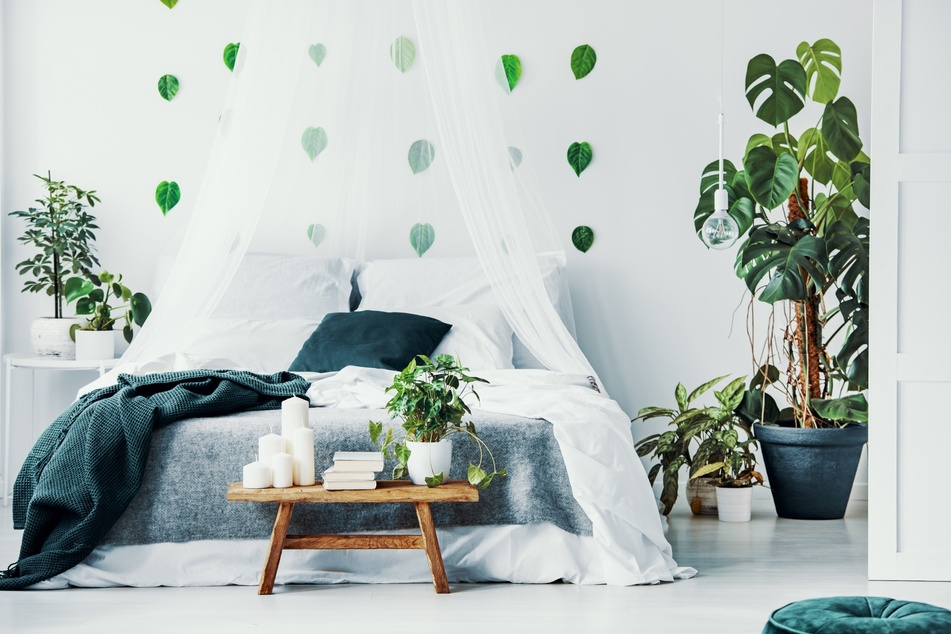 Pflanzen für das Schlafzimmer: Diese 10 Pflanzen eignen sich bestens