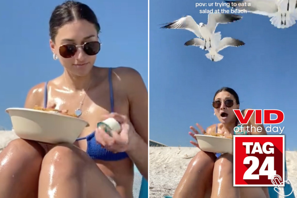 Today's Viral Video of the Day shows the moment a bunch of seagulls wanted a taste of a beachgoer's food!