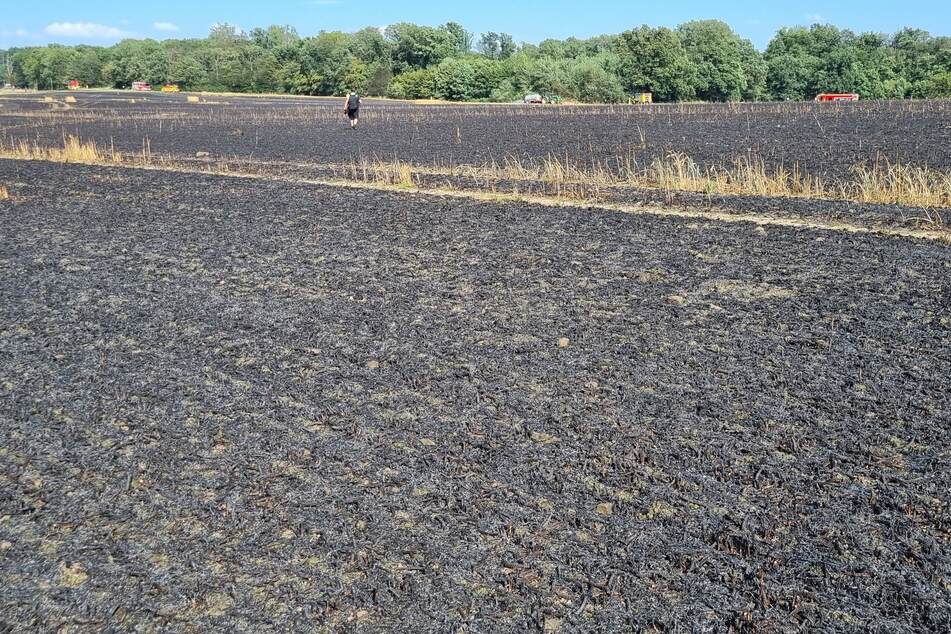 Knapp sechs Hektar brannten am gestrigen Dienstag in Ratingen.