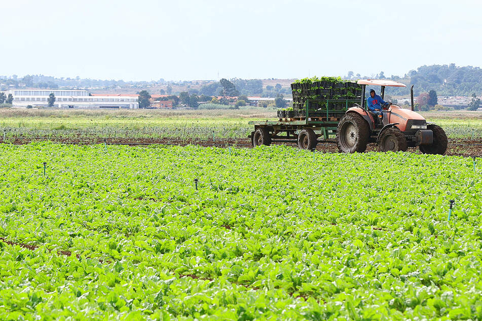 Golden showers bring May crop yields.