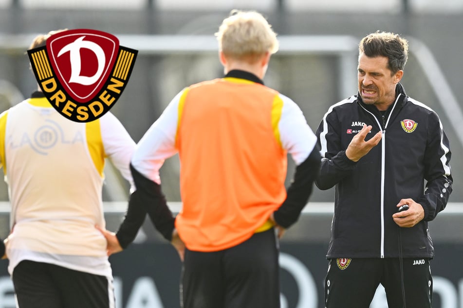 Herrscht jetzt Übermut bei Dynamo? Stamm tritt auf die Euphorie-Bremse