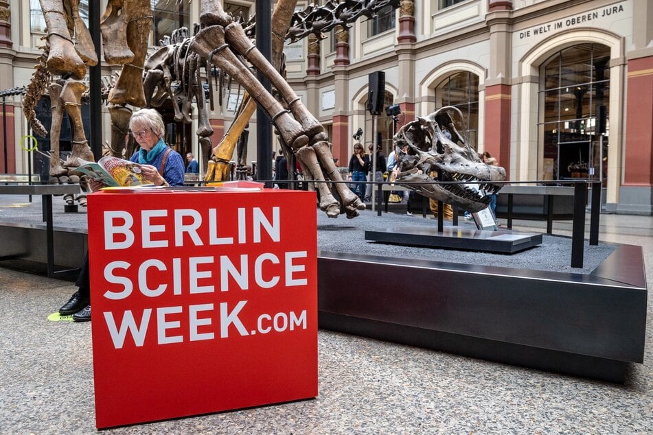 Auch im Museum für Naturkunde gibt es Veranstaltungen zur Berliner Science Week.