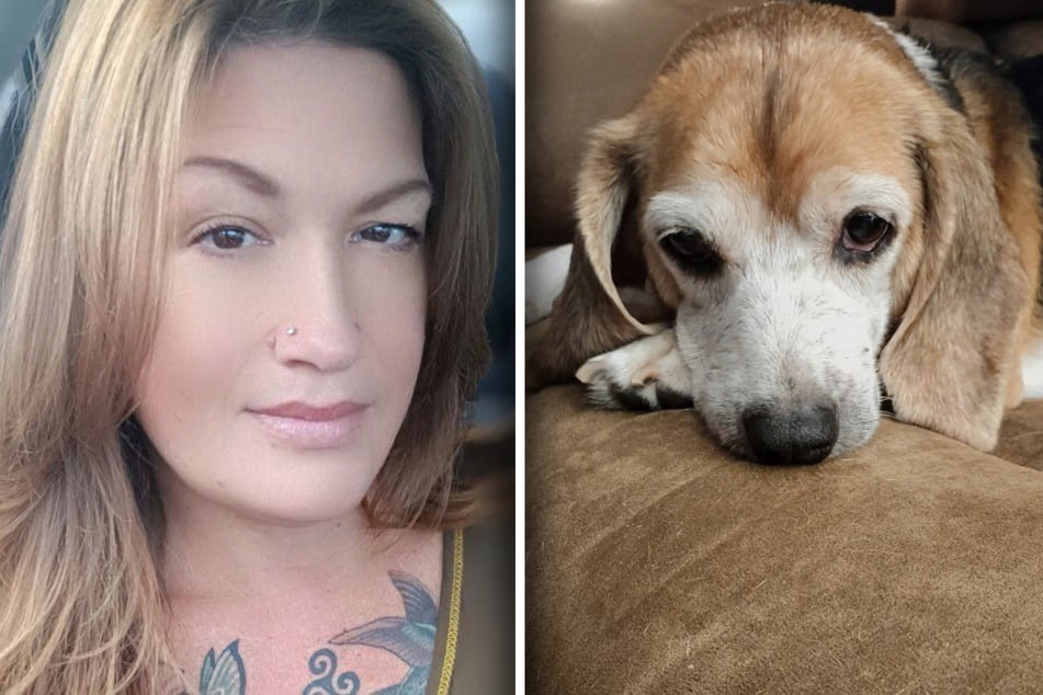 Jennifer Leah Baker holte Hunde-Dame Copper von der Straße.