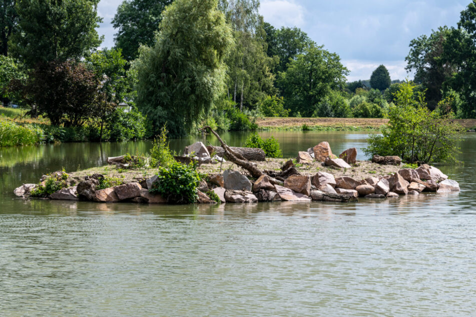 Vogelparadies: Die Schutzinsel im großen Murschnitzer Teich.