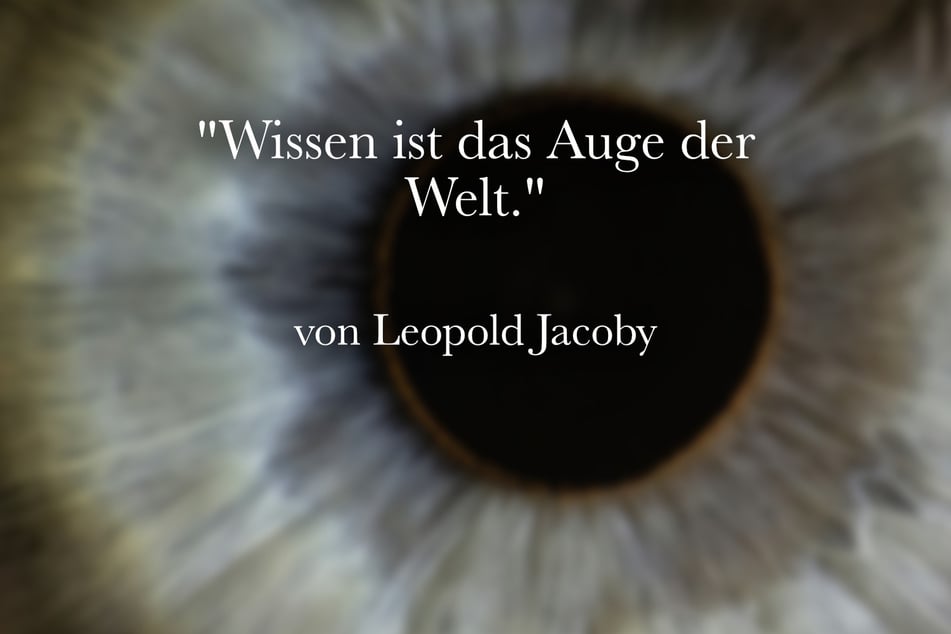 Zur Schuleinführung passt das Zitat von Leopold Jacoby: "Wissen ist das Auge der Welt."
