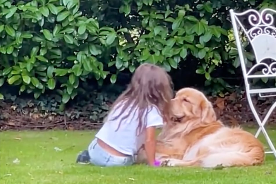 Mädchen sitzt traurig im Gras - Was dieser Hund dann macht, lässt Herzen schmelzen