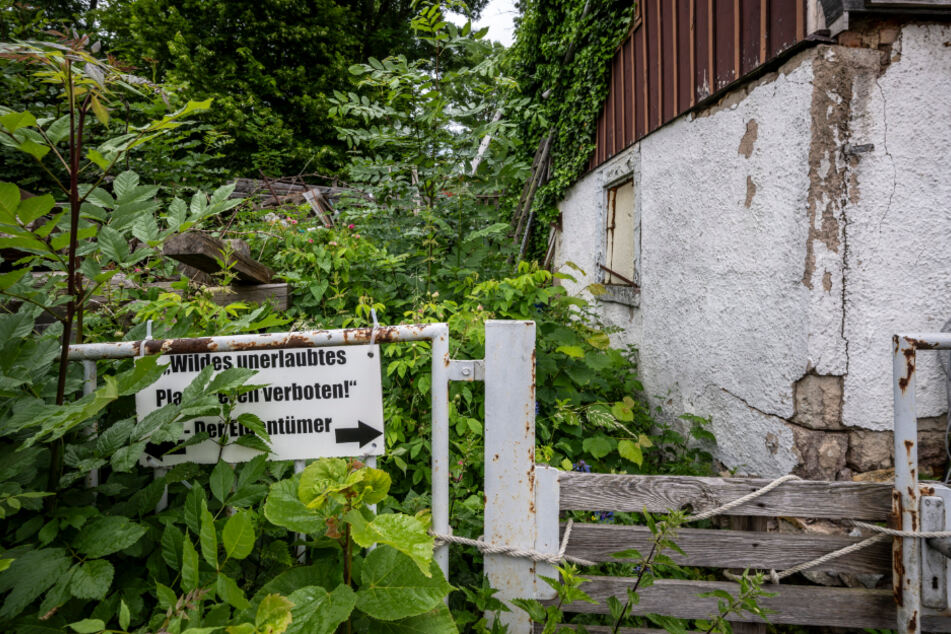 Auch der Garten ist vollgemüllt. Immerhin ist das Plakatieren auf drei Schildern verboten.