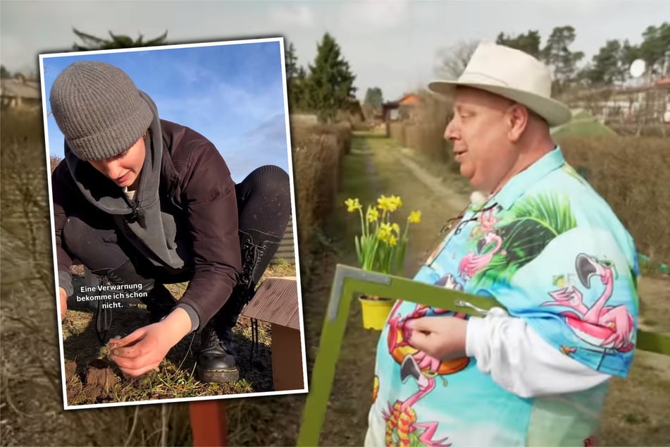 Ende Dezember hatte Evy sage und schreibe 600 Krokuszwiebeln gepflanzt. Leider blühten beim Besuch des Gartensheriffs nur einzelne Pflanzen.