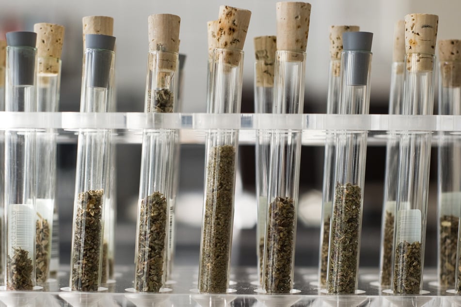 "Legal Highs"? Diese Gefahr steckt wirklich hinter Designerdrogen