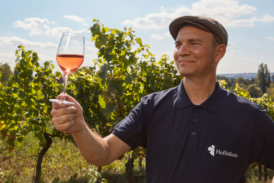 Im Weingut Hoflößnitz gibt es leckeren Wein.
