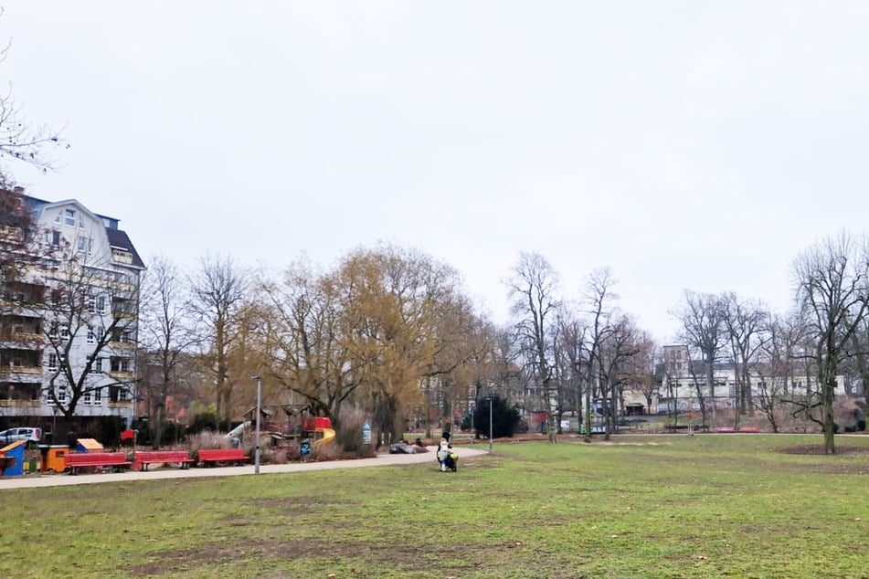 Der Angriff ereignete sich im Heinrich-Lassen-Park in Schöneberg.