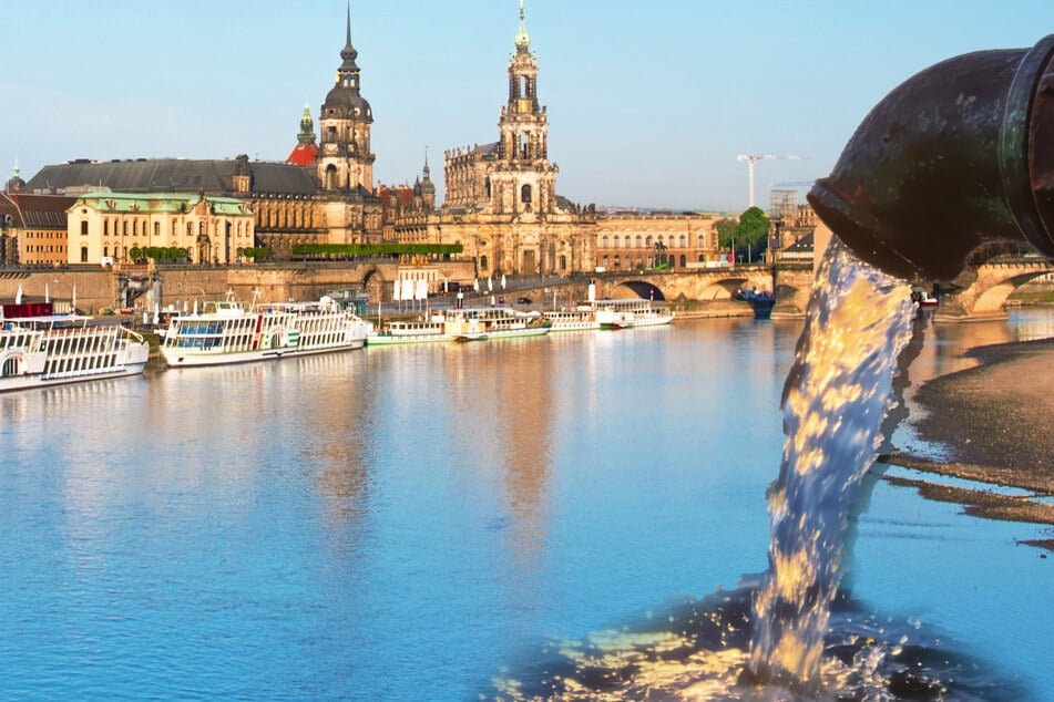 Dresden: Auch andere Bundesländer setzen auf "unseren" Fluss: So begehrt ist das Wasser der Elbe