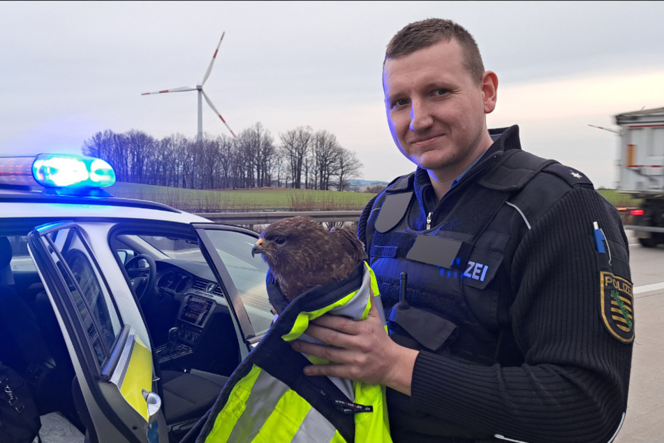 Polizeikommissar Maximilian Landrock (30) vom Autobahnpolizeirevier in Reichenbach mit dem benommenen Greifvogel.