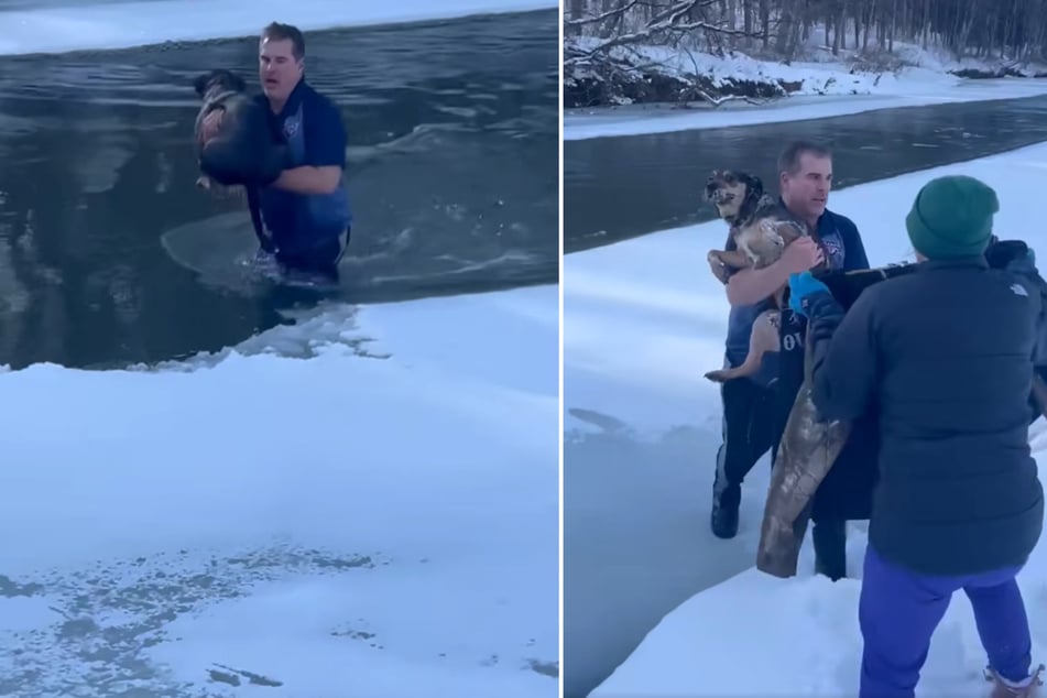 Spärlich bekleidet zieht Chris MacRitchie den Mischling aus dem Wasser und rettet ihm somit das Leben.