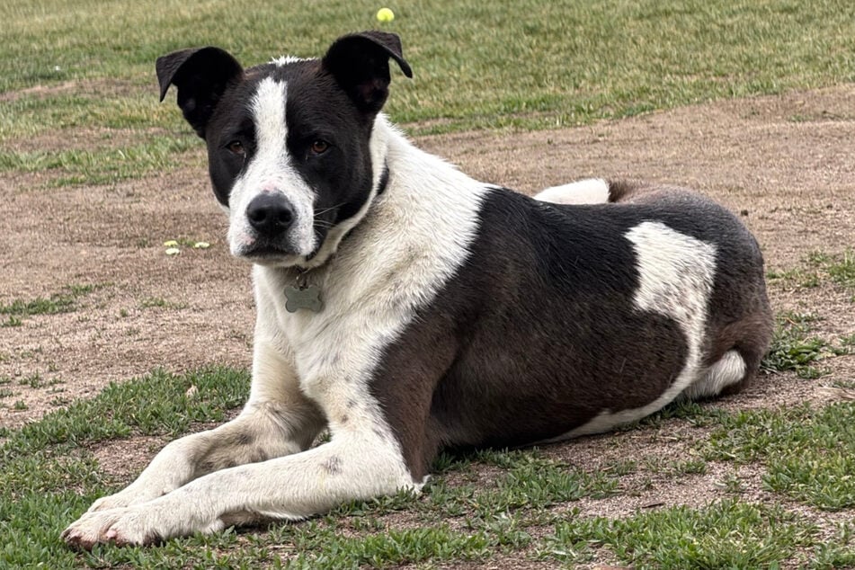 Ruger wollte im vergangenen Jahr sein eigenes Ding durchziehen.