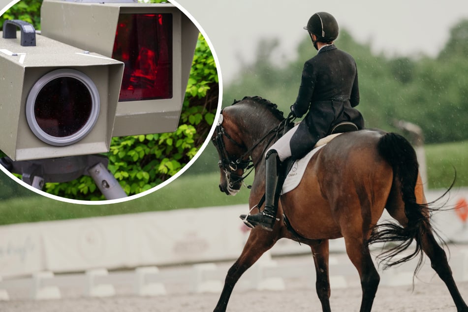 Der Test war erfolgreich: Eine Reitlehrerin wurde mit ihrer Stute geblitzt. (Symbolfoto)