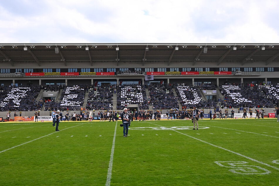 Die Dresden Monarchs sind in der GFL der Zuschauermagnet. Fast 6000 Fans kommen im Schnitt pro Spiel.