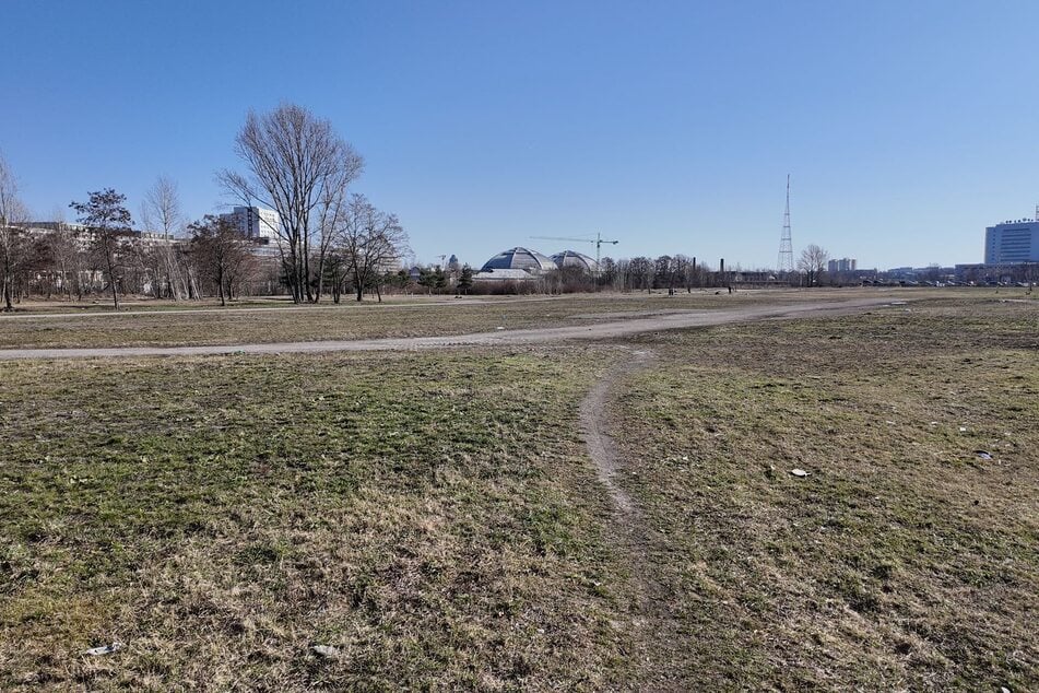Geht es nach dem Stadtbezirksbeirat Süd, sollen zumindest fünf Straßen des neuen Quartiers nach wichtigen Frauen der Leipziger Geschichte benannt werden. Bislang sind diese im Stadtbild deutlich unterrepräsentiert.