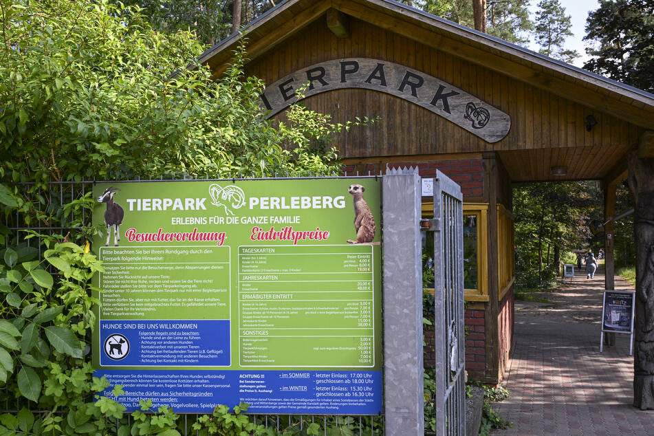 Die zwei besonderen Schlangen werden im Tierpark derzeit mit Mäusen und Küken gefüttert.