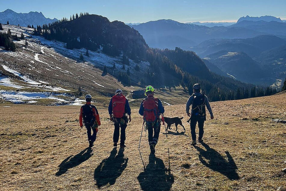 Die Bergretter können den Labrador sicher ins Tal bringen.