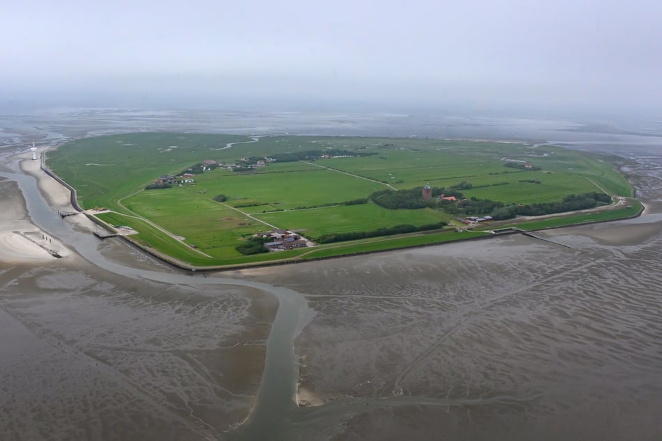 Auf der Insel Neuwerk leben 20 Bewohner.
