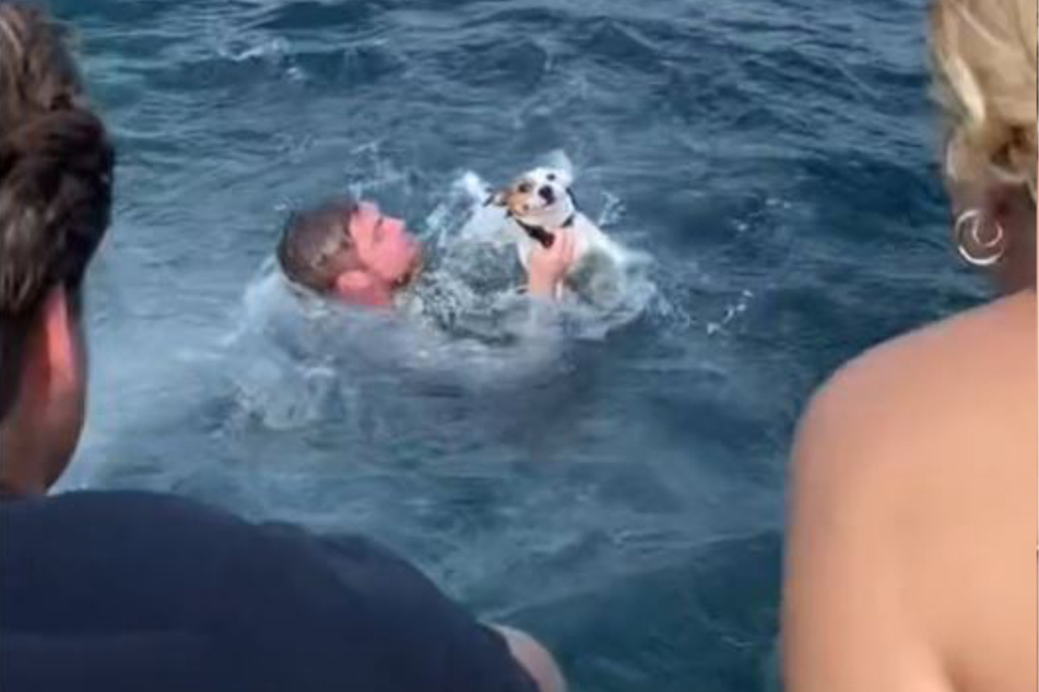 Héroe del día: Un hombre rescató al perro del mar abierto.