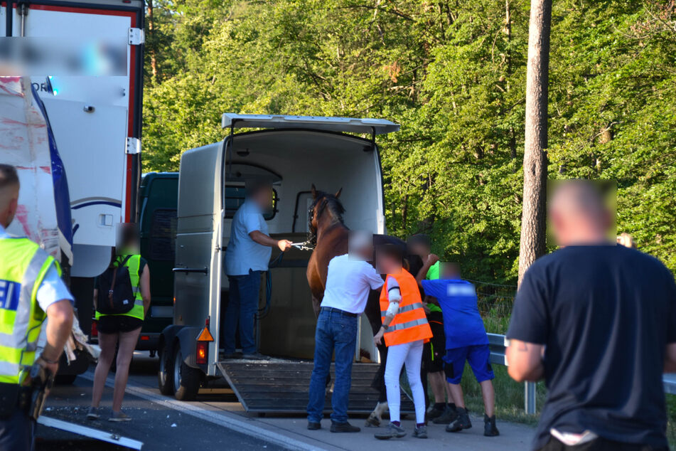 Nach dem Unfall: Das Pferd muss umgeladen werden.