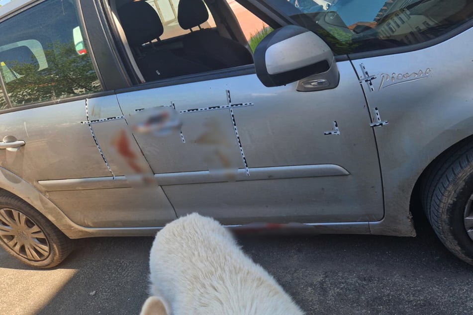 Das Auto war nach der Rettung voller Blut. Inna Rommelfanger (35) bekam von ihrem Mann schließlich ein neues.