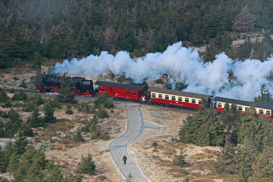 Die Harzer Schmalspurbahn fährt regulär mit Dampfloks bis zur Spitze des Brockens. (Archivbild)