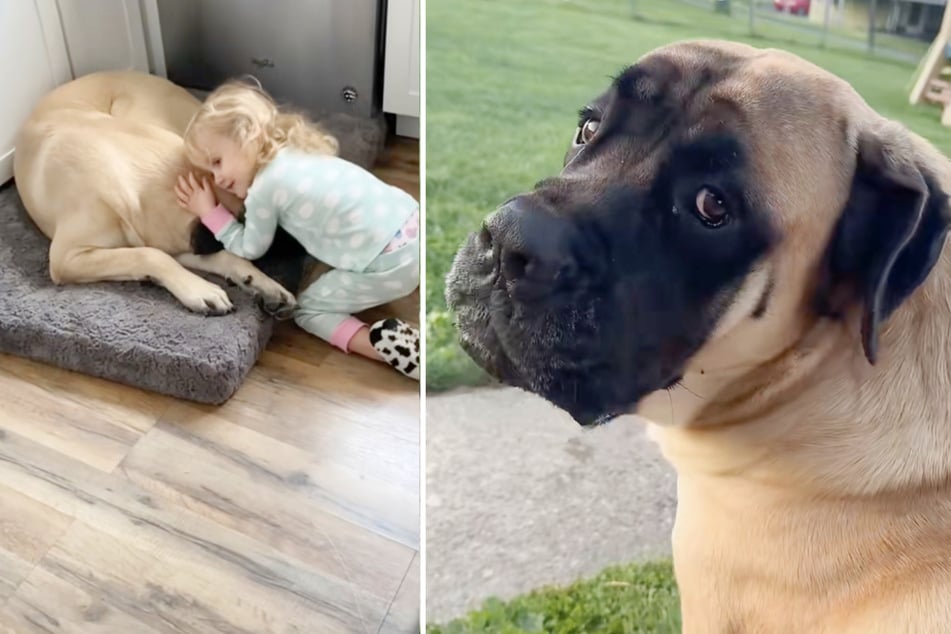 Der riesige Hund entpuppte sich als bester Freund der beiden Kinder.