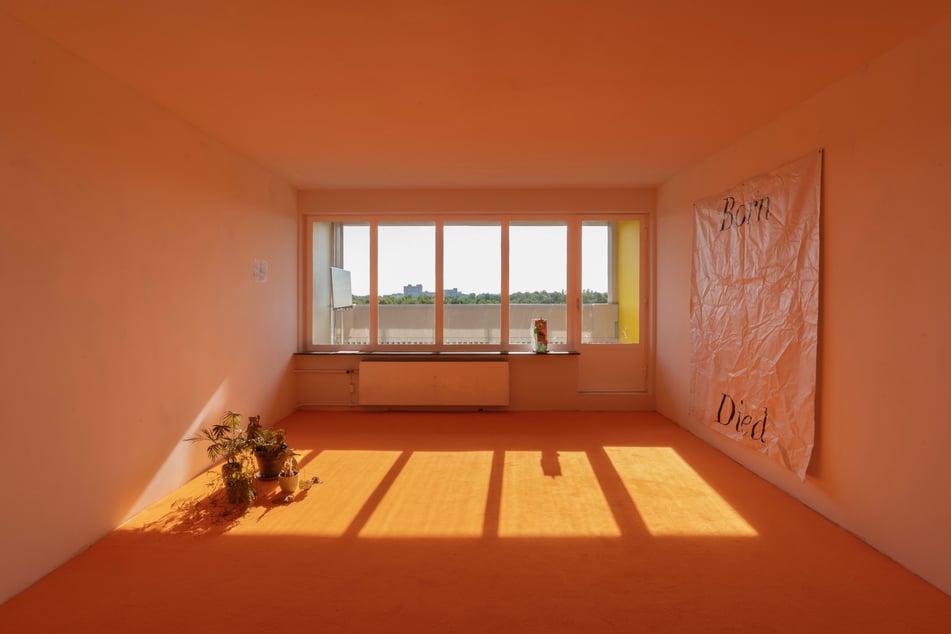 Wo aktuell eine Ausstellung zu sehen ist, schläft der Berliner Künstler Alex Winterstein normalerweise.