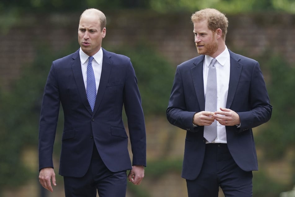 Royal-Expertin hält Harrys und Williams Bruch für eine Tragödie, Mitleid mit Prinz Charles