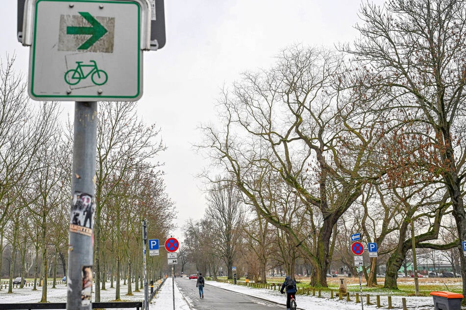 Noch ist Autofahren auf diesem Abschnitt der Lingnerallee erlaubt.