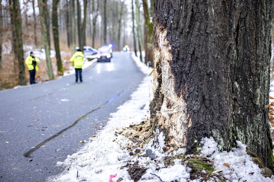 Mit diesem Baum kollidierte der Unfallverursacher.